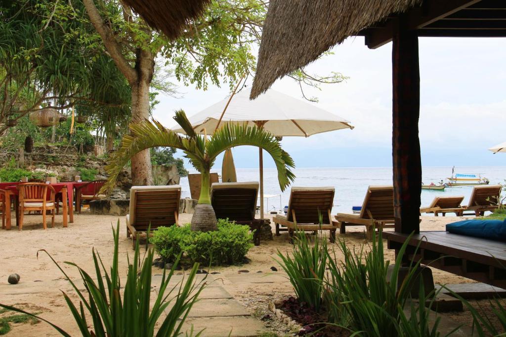Molamola House Hotel Nusa Lembongan  Exterior photo